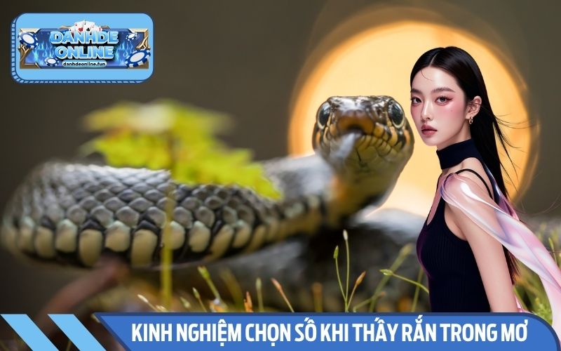 Kinh nghiệm chọn số chuẩn khi thấy rắn trong giấc ngủ