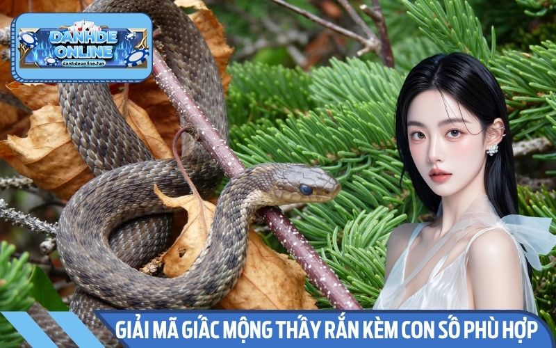 Giải mã giấc mộng thấy rắn kèm con số phù hợp