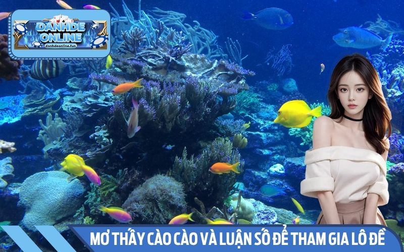 Con số từ ý nghĩa giấc mơ có thể giúp đổi vận bất ngờ