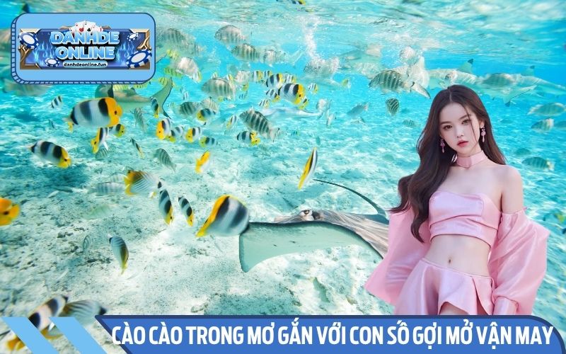 Chi tiết ý nghĩa từng giấc chiêm bao thấy cá