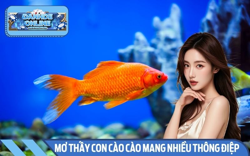 Mơ thấy cá là điềm báo tốt hoặc xấu tùy hoàn cảnh