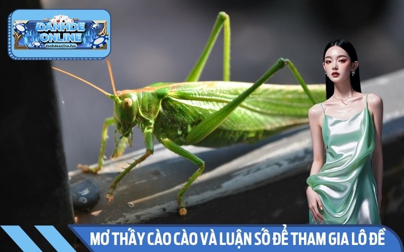 Mơ thấy cào cào và luận số để tham gia lô đề chính xác hơn