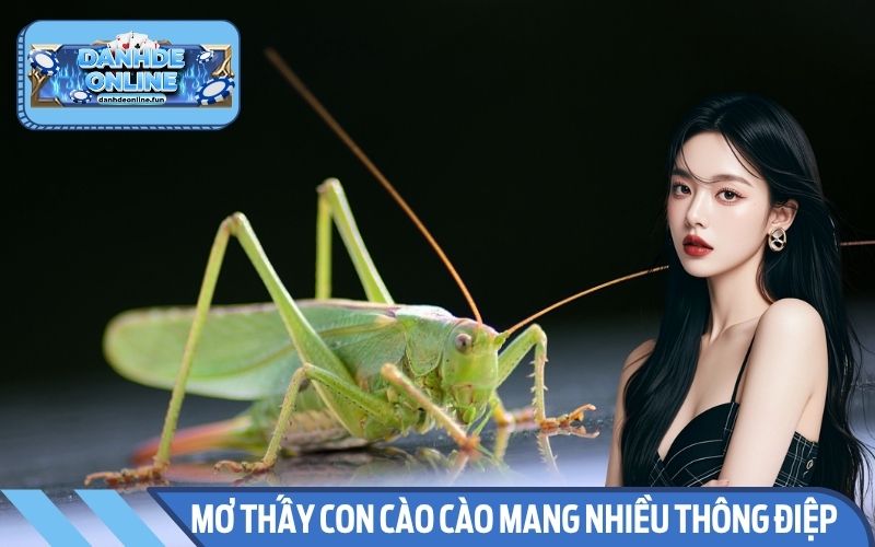 Giấc mơ thấy con cào cào mang theo nhiều thông điệp sâu sắc