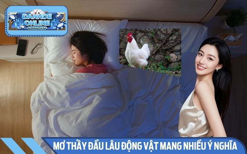 Mơ thấy con gà màu trắng cho thấy vận may đang đến với bạn
