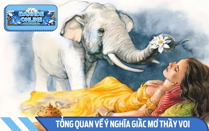 Mơ thấy voi mang nhiều ý nghĩa bí ẩn được nhiều người quan tâm