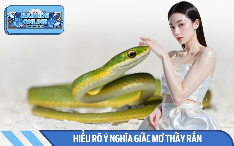 Hiểu rõ ý nghĩa giấc mơ thấy rắn qua phân tích đơn giản